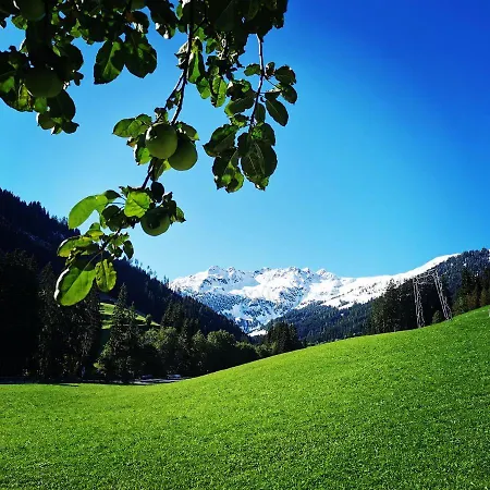 Lehenhof * Alpbach
