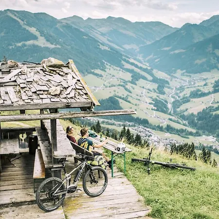 Lehenhof בית חווה