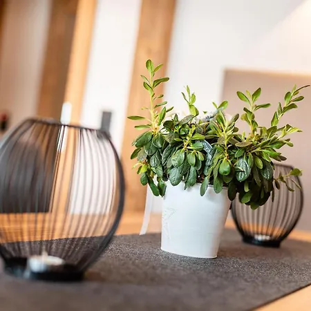 Farm stay Lehenhof Alpbach