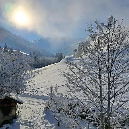 Alloggio per agriturismo Lehenhof Alpbach