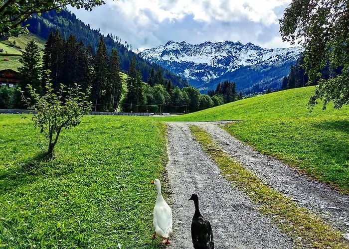 Séjour à la ferme Lehenhof *