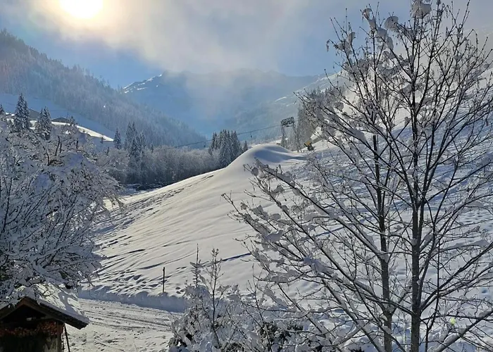 Séjour à la ferme Lehenhof Alpbach