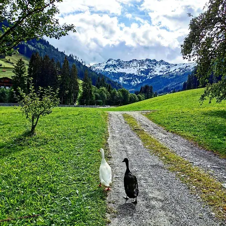 Çiftlik konaklama Lehenhof *