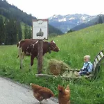 Lehenhof Альпбах